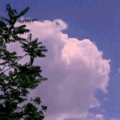 光明战记手游小米版下载